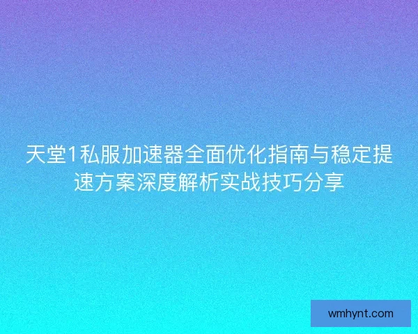 天堂1私服加速器全面优化指南与稳定提速方案深度解析实战技巧分享