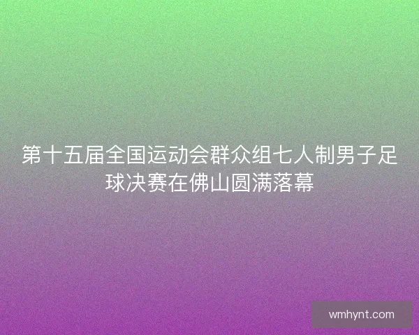 第十五届全国运动会群众组七人制男子足球决赛在佛山圆满落幕