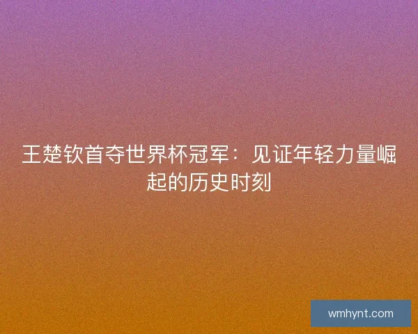 王楚钦首夺世界杯冠军：见证年轻力量崛起的历史时刻
