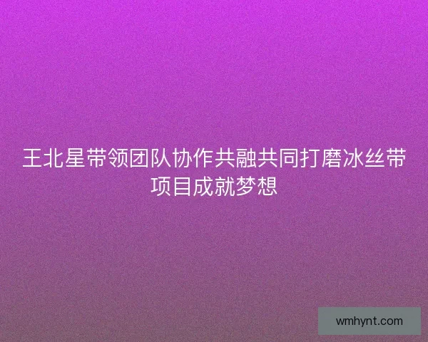 王北星带领团队协作共融共同打磨冰丝带项目成就梦想
