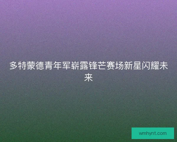 多特蒙德青年军崭露锋芒赛场新星闪耀未来 多特蒙德青年军崭露锋芒赛场新星闪耀未来